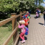 phoca_thumb_m_vlet km 28 Fotogalerie